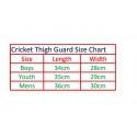SS Academy Cricket Thigh Guard