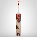 DSC Intense Zeal Junior Kashmir Willow Cricket Bat