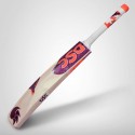 DSC Intense Zeal Junior Kashmir Willow Cricket Bat