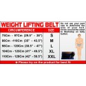 USI Padded Leather Weight Lifting Belt 6"